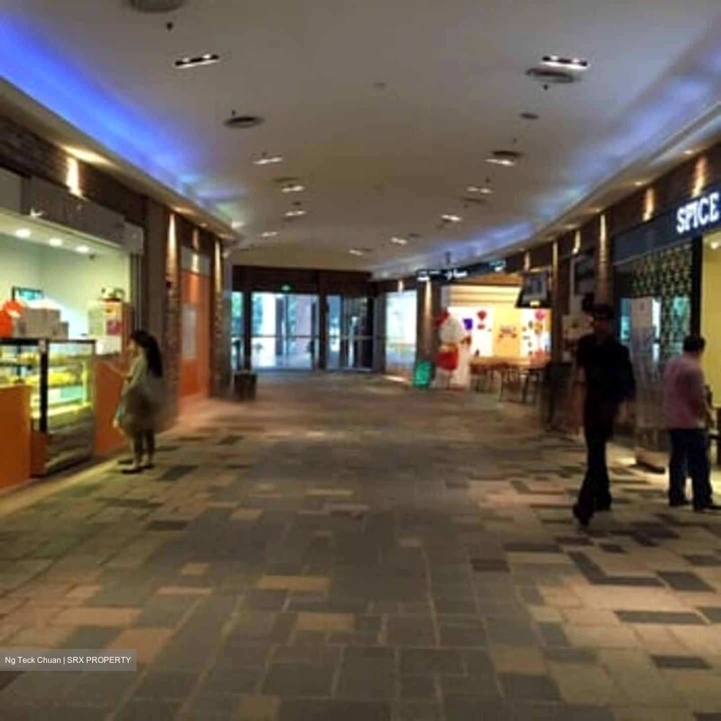 PS100 (D2), Retail #451193161